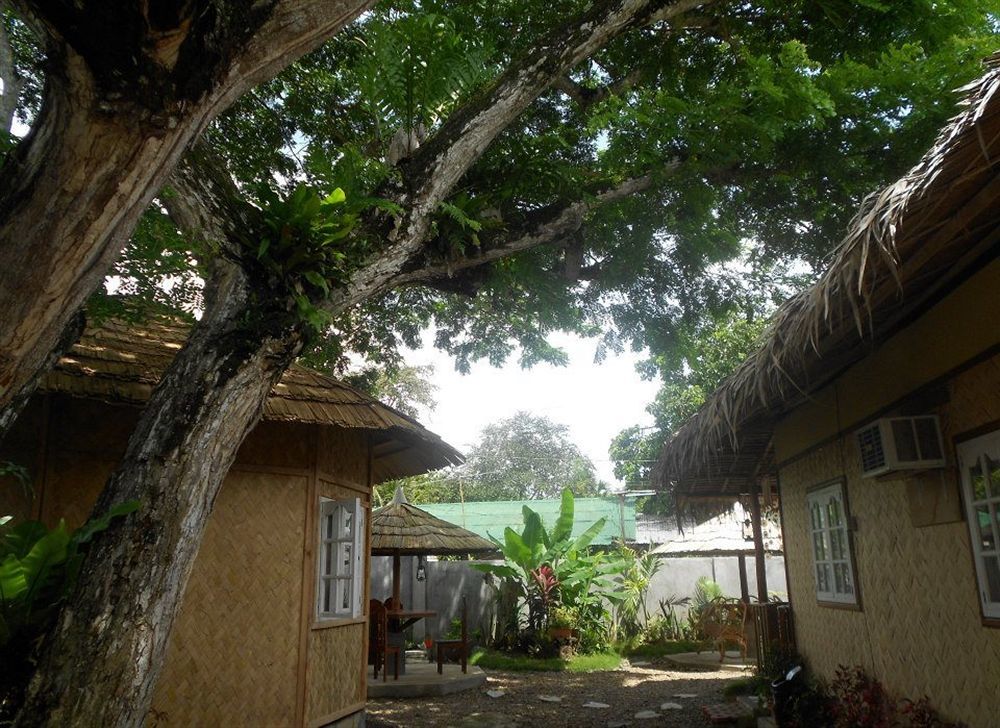 Tia Mers Guest House Puerto Princesa Extérieur photo