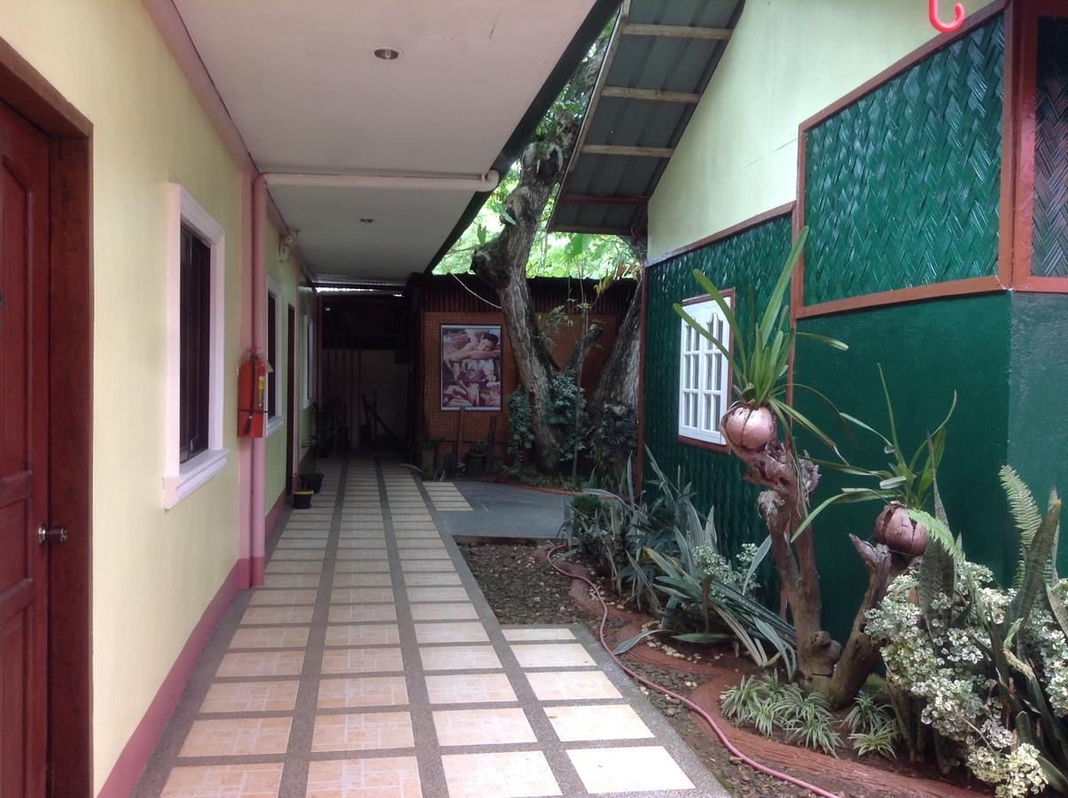 Tia Mers Guest House Puerto Princesa Extérieur photo