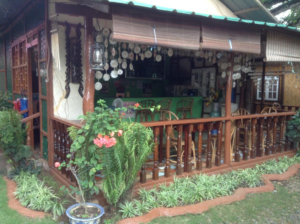Tia Mers Guest House Puerto Princesa Extérieur photo